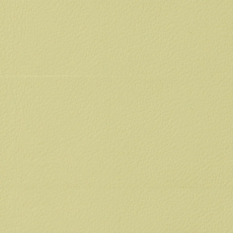 意大利真皮 — Beige