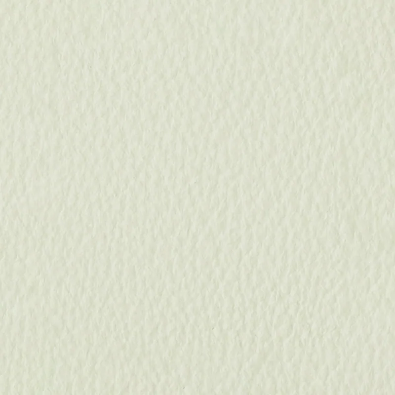 意大利真皮 — Gesso