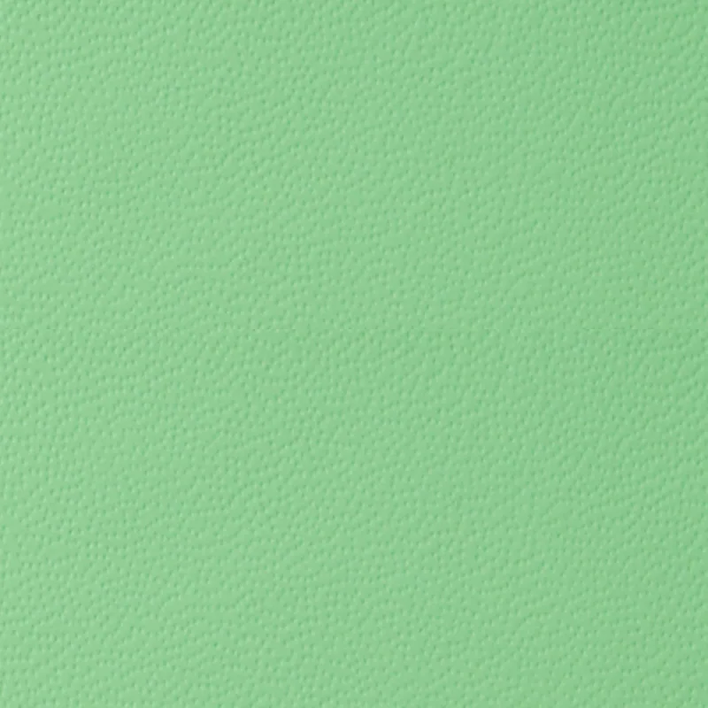 意大利真皮 — Aequus Green