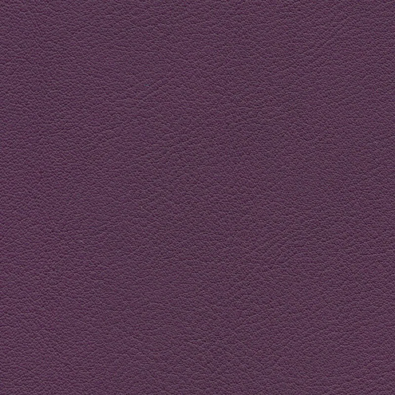 合成皮革 — Amethyst